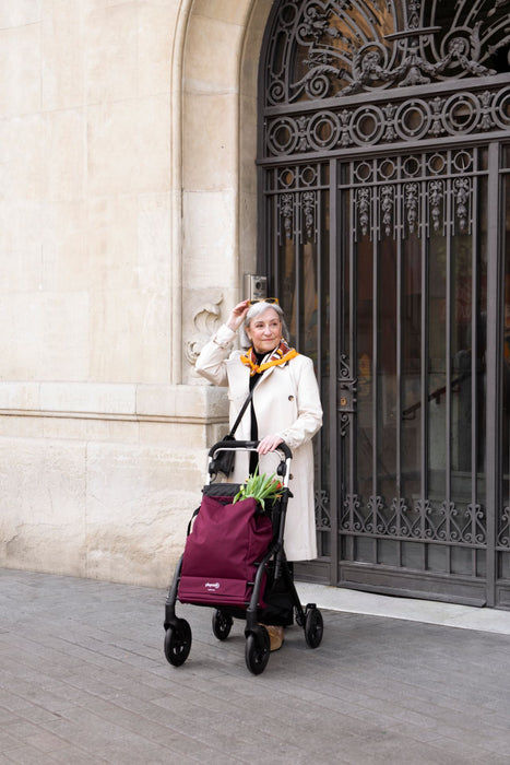 City Walker by Playcare