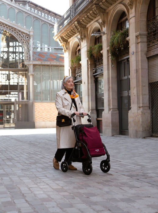 City Walker by Playcare